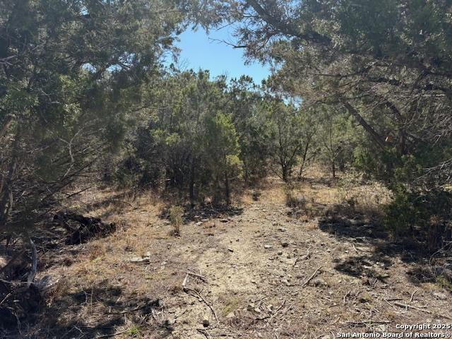 Listing photo 2 for LOT123 Hillside Dr, Spring Branch TX 78070