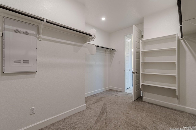 walk in closet featuring carpet and electric panel