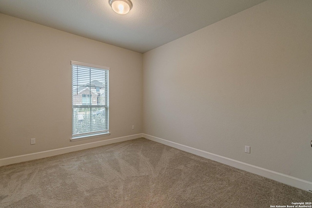 empty room featuring carpet