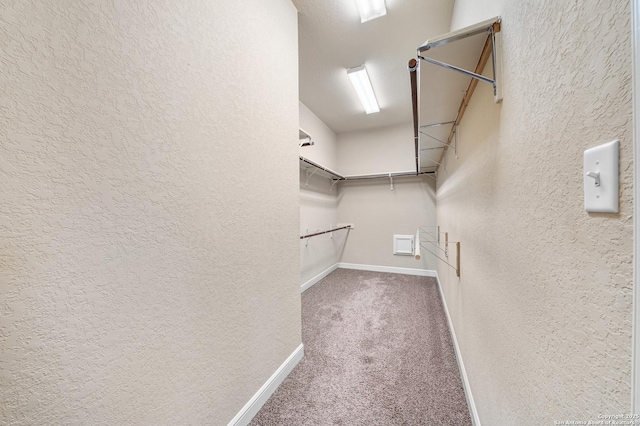 spacious closet featuring carpet