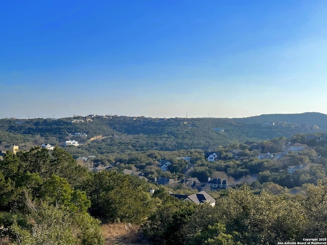 Listing photo 3 for 11238 Condor Pass, Helotes TX 78023