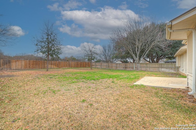 view of yard featuring a fenced backyard and a patio