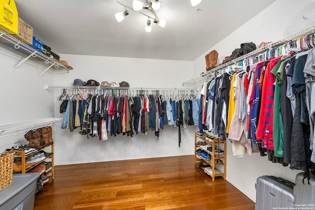 walk in closet with hardwood / wood-style flooring and radiator