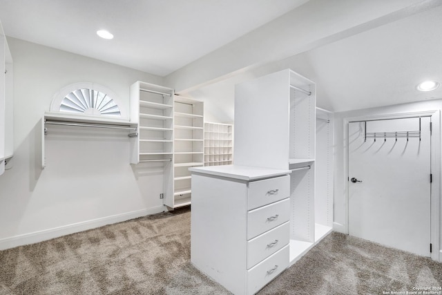 walk in closet with carpet flooring