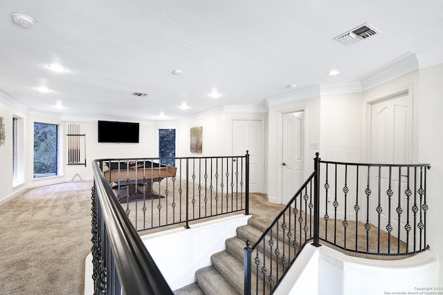 stairs featuring ornamental molding and carpet