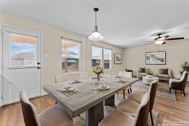 dining space featuring ceiling fan and light hardwood / wood-style floors