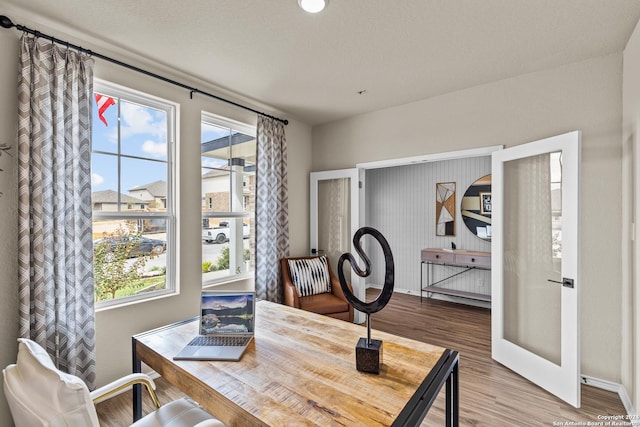 dining room with hardwood / wood-style flooring and a wealth of natural light