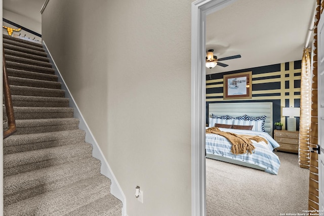 stairway featuring ceiling fan and carpet flooring