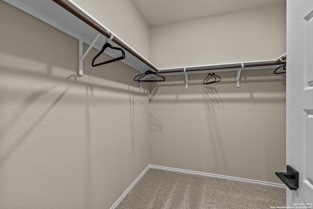 spacious closet featuring carpet flooring