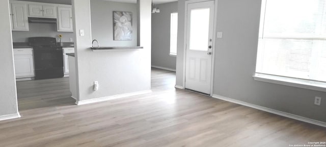 entrance foyer featuring plenty of natural light and light hardwood / wood-style flooring