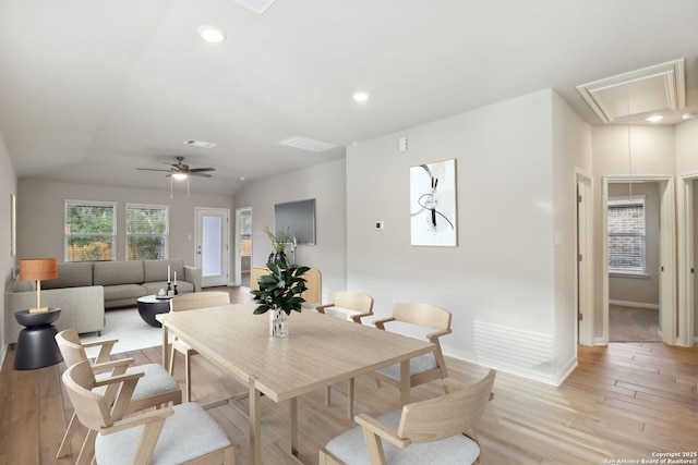 dining space with ceiling fan and light hardwood / wood-style flooring