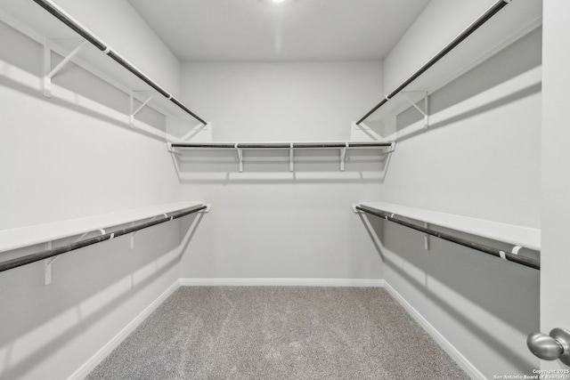 walk in closet with carpet