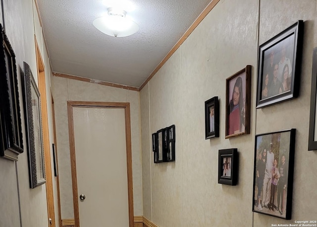 39 Post Oak Ln, Vernia, TX 78121 - hall featuring ornamental molding and a textured ceiling