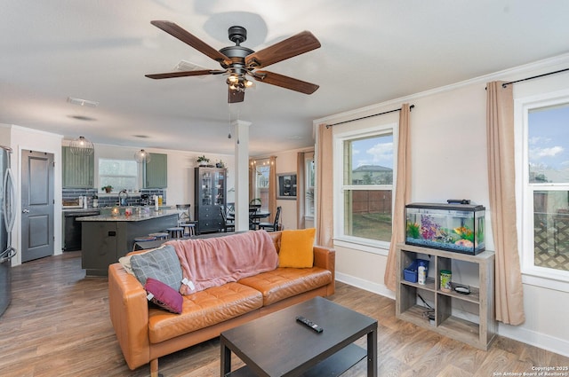 living room with crown molding, ceiling fan, and light wood-type flooring