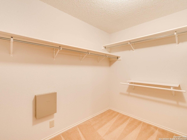 spacious closet with carpet flooring