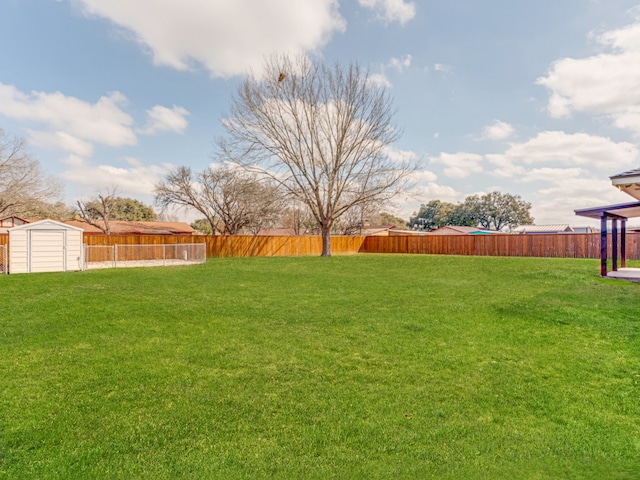 view of yard featuring a storage unit