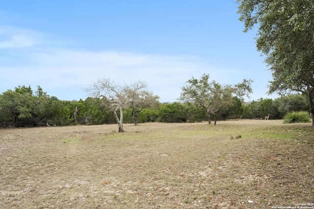 view of yard featuring a rural view