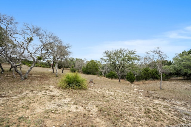 view of local wilderness with a rural view