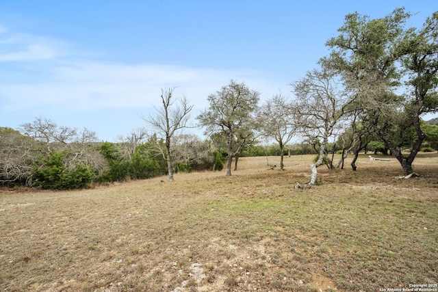 view of yard featuring a rural view