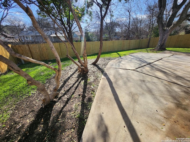 view of yard with a patio area and a fenced backyard