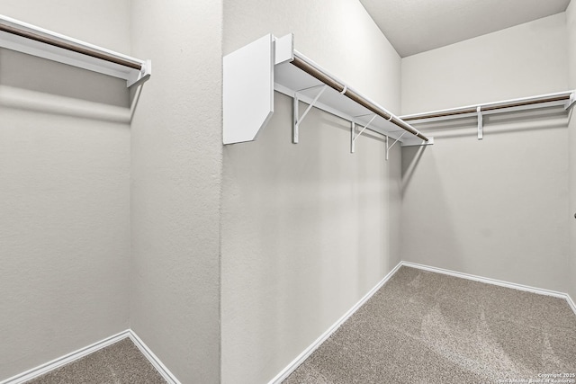 walk in closet featuring carpet floors
