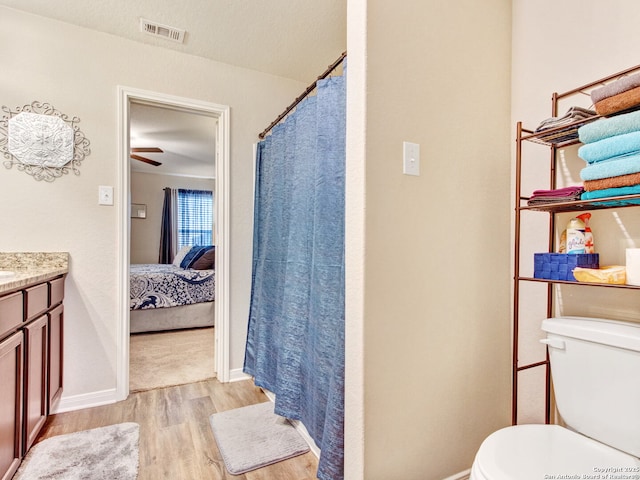 bathroom with vanity, toilet, and hardwood / wood-style floors