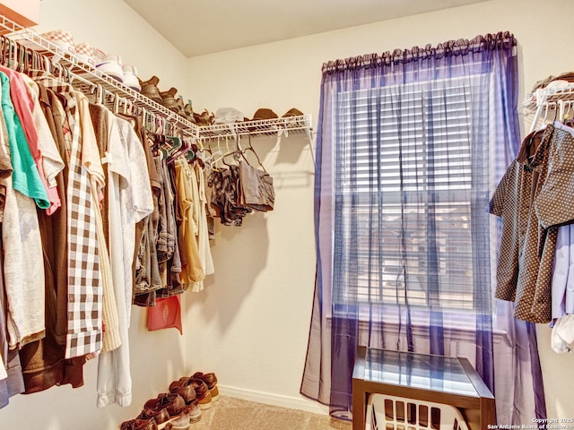 spacious closet featuring carpet floors