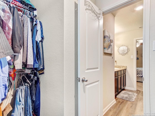 spacious closet with light hardwood / wood-style flooring