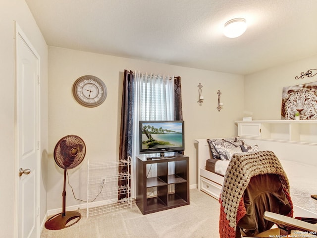 bedroom featuring carpet