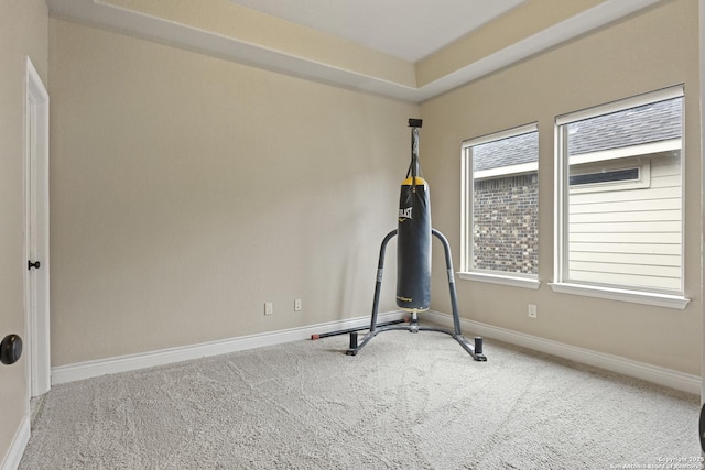 workout area with carpet