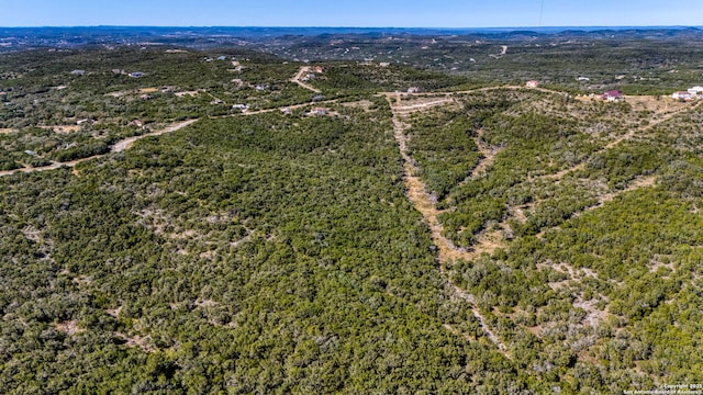 Listing photo 2 for LOT342 County Road 2744, Mico TX 78056