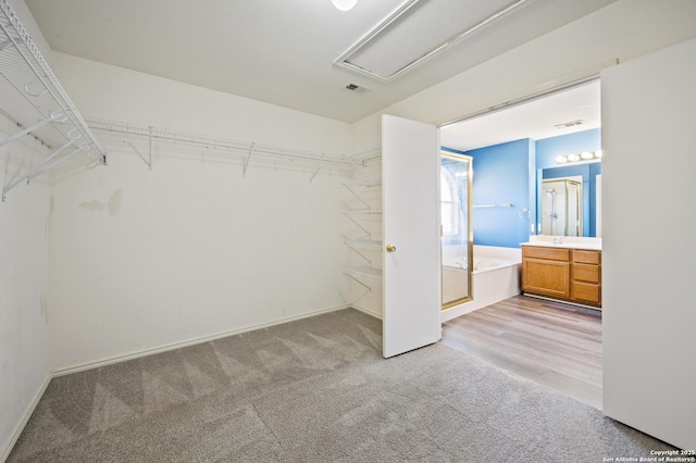 walk in closet featuring light colored carpet