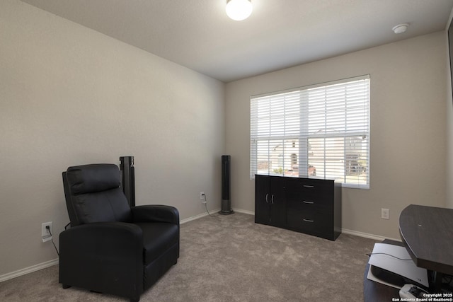 sitting room with light colored carpet