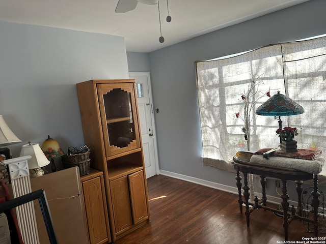 interior space with ceiling fan and dark hardwood / wood-style flooring