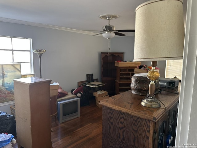 kitchen featuring crown molding, dark hardwood / wood-style floors, and ceiling fan