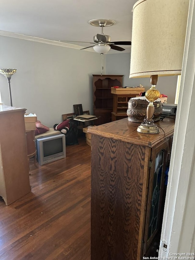 kitchen with ceiling fan, ornamental molding, and dark hardwood / wood-style floors