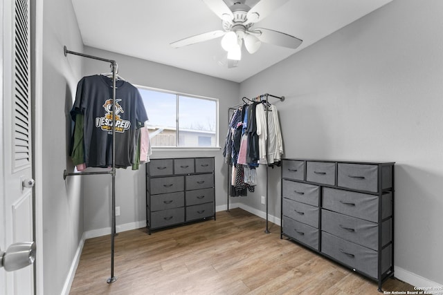 spacious closet with ceiling fan and light hardwood / wood-style flooring