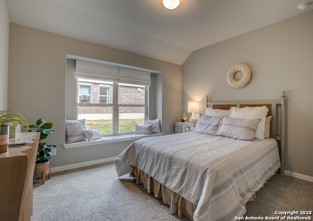 bedroom with lofted ceiling and carpet floors