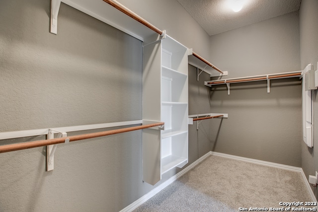 spacious closet with carpet