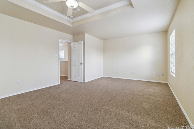 spare room with crown molding, ceiling fan, and carpet