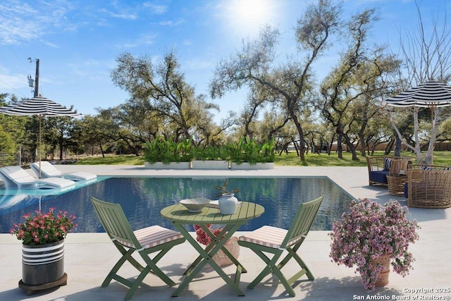 view of pool with a patio area