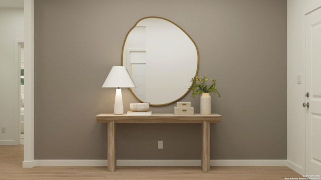 room details with hardwood / wood-style floors