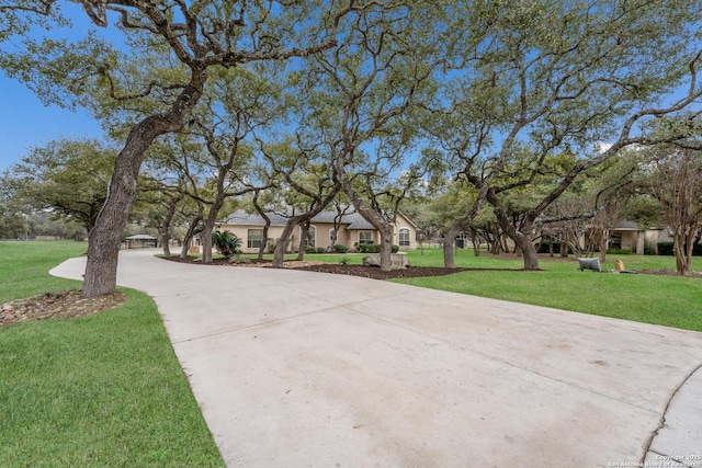 view of front of property featuring a front yard