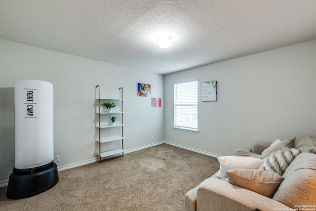 sitting room featuring carpet and a textured ceiling