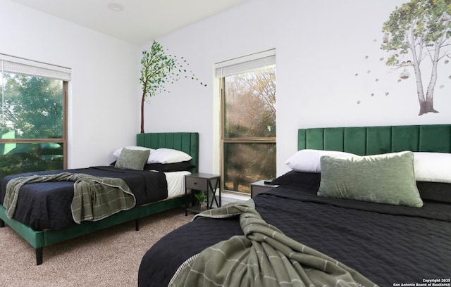 bedroom featuring carpet flooring