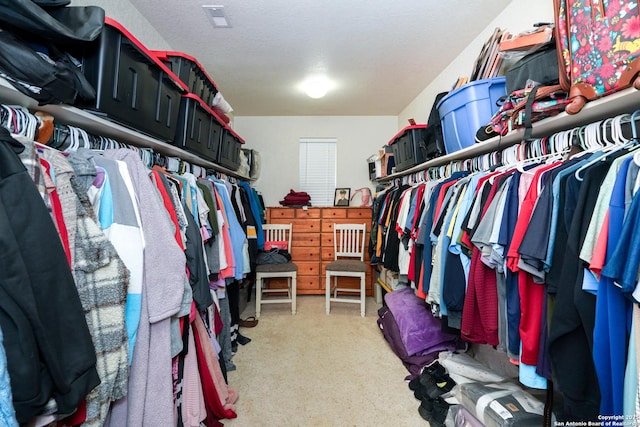 view of walk in closet