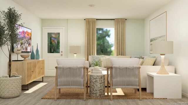 living area featuring wood-type flooring