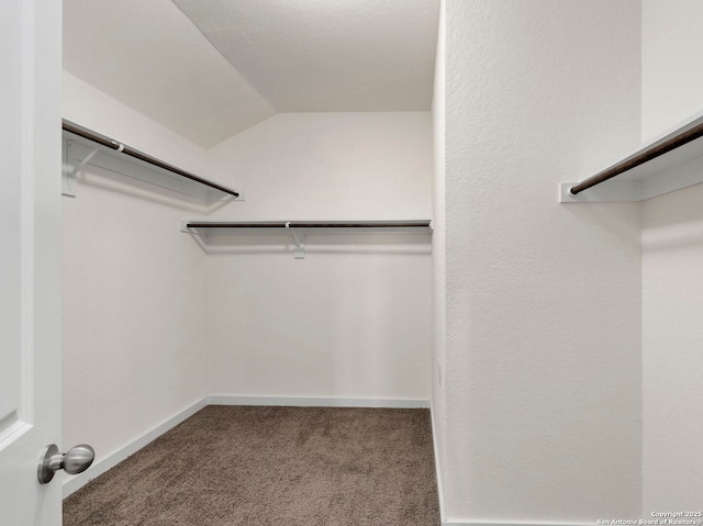 walk in closet with carpet floors and vaulted ceiling