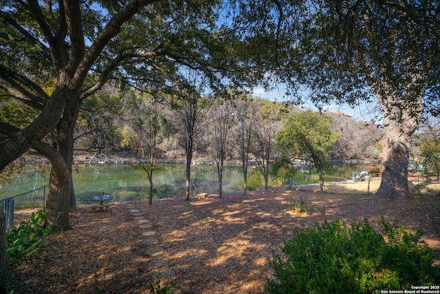 view of yard featuring a water and mountain view