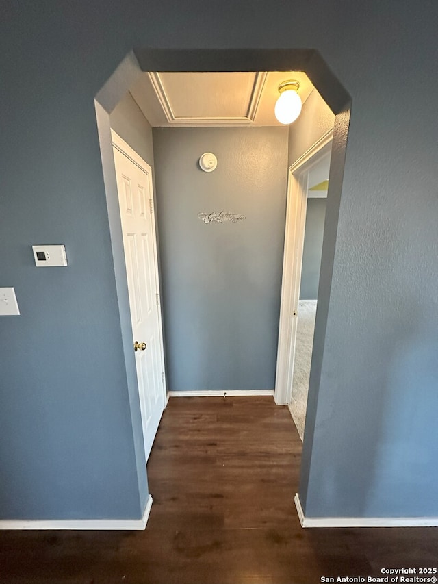 hall featuring dark hardwood / wood-style flooring